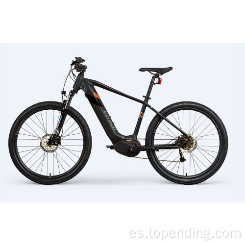 Bicicleta eléctrica personalizada 29 pulgadas